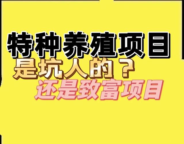 蝎子的养殖技术及市场前景蛋白虫，蝎子的养殖技术及市场前景2021