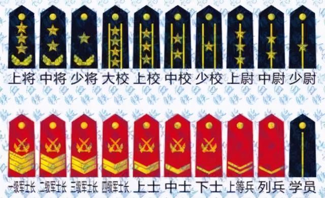 武警军衔等级排名图片 部队（中国武警军衔等级排名图片）