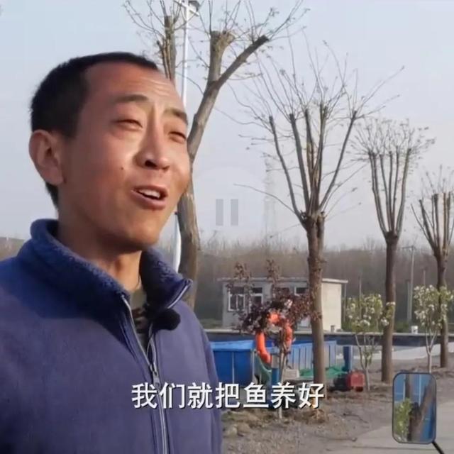 锦鲤鱼苗型号规格（锦鲤鱼苗多少钱一条）