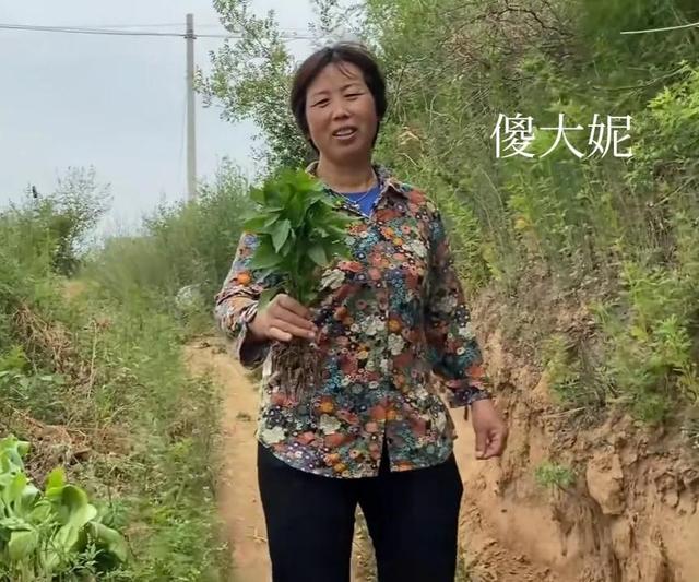 倔媳妇的个人主页土豆网,倔媳妇的个人主页 西瓜直播豫见李小亿