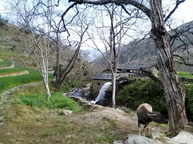 中国十大鬼村排行，中国十大鬼村 未公开