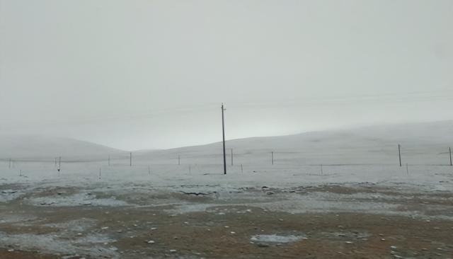 雪豹移防广州真正原因，雪豹干了什么为什么去广州