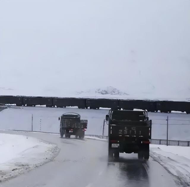 雪豹移防广州真正原因，雪豹干了什么为什么去广州