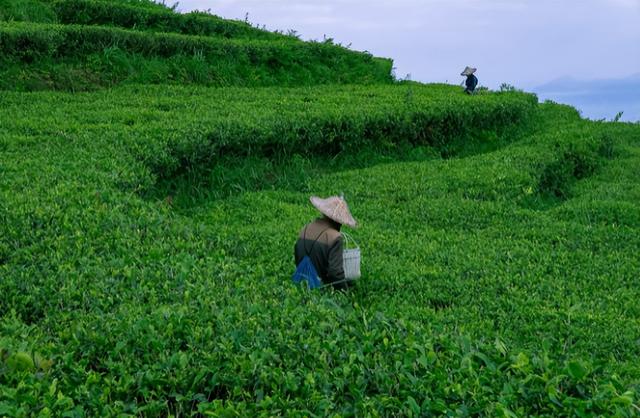 中国十大鬼村排行，中国十大鬼村 未公开