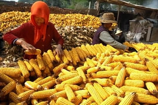 三天赚到二十万黑方法,又不犯法，三天赚到二十万黑方法仙游打工男几