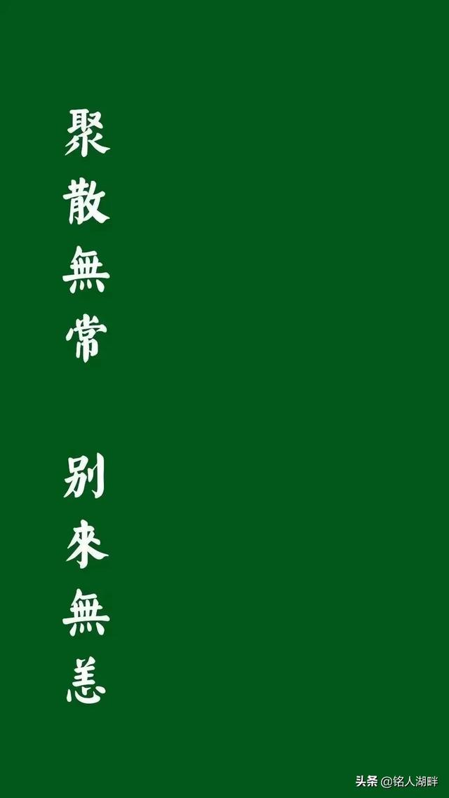 5年左央事件,左央事件百科"