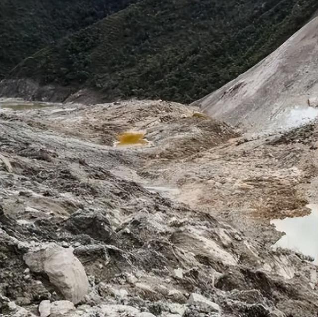 雪豹移防广州真正原因，雪豹干了什么为什么去广州