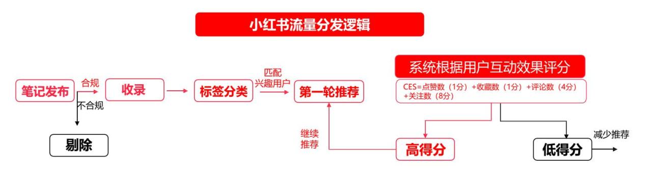 小红书新手攻略：6周观看总时长207万+？5大技法玩转运营