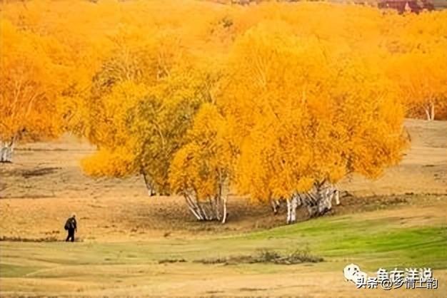 明年是什么兔年 金木水火土,兔年是属金木水火土