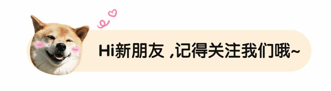 这6种都是“狗中贵族”，家里有钱才敢养