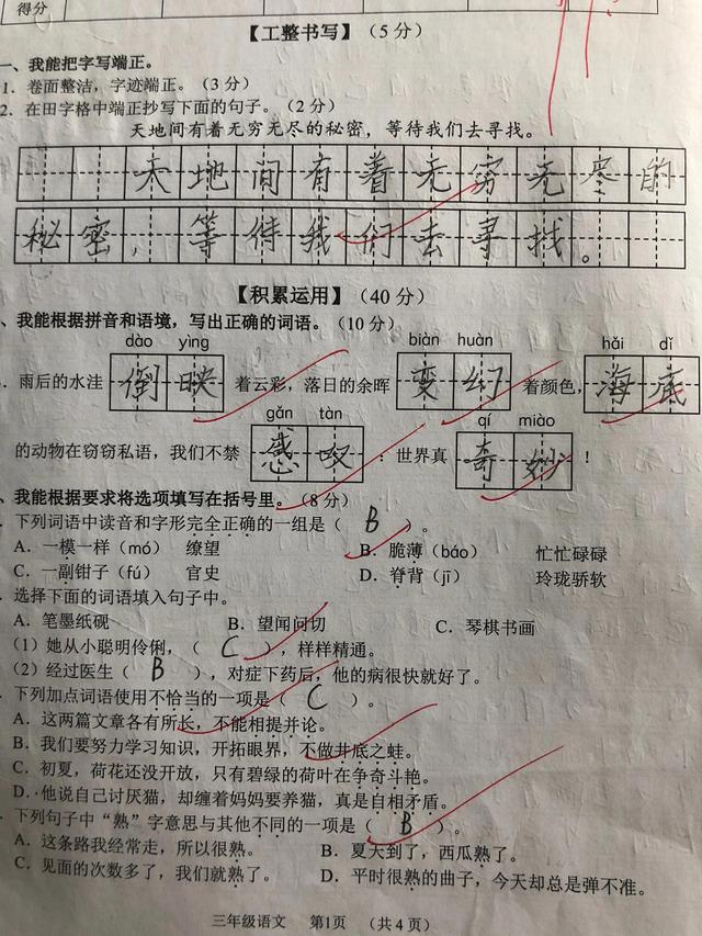 小学语文试卷分析，语文试卷分析与反思