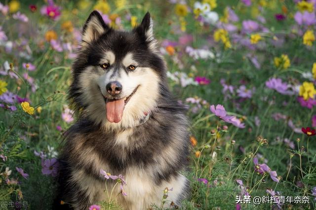 女性适合开什么店比较好,女性适合开什么店比较好呢