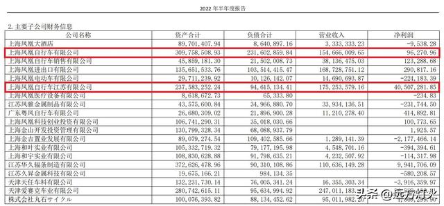 上海凤凰自行车上半年营收过亿，净利润仅为_9.63_万元？