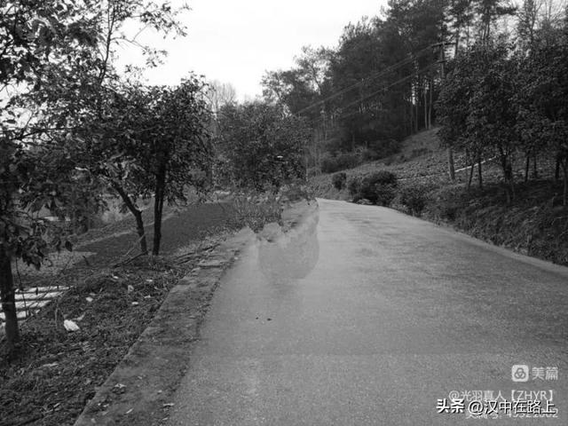 960年属什么生肖属相,1960年属什么生肖今年多少岁"