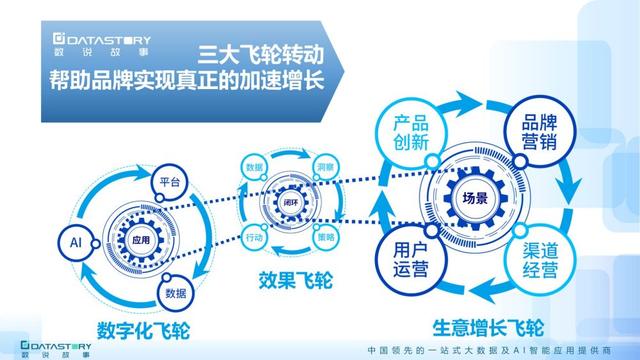 大数据营销案例，大数据营销案例元气森林