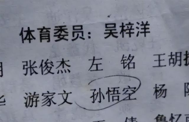 小学生网名越弱智越好，小学生网名越弱智越好_暴龙战士