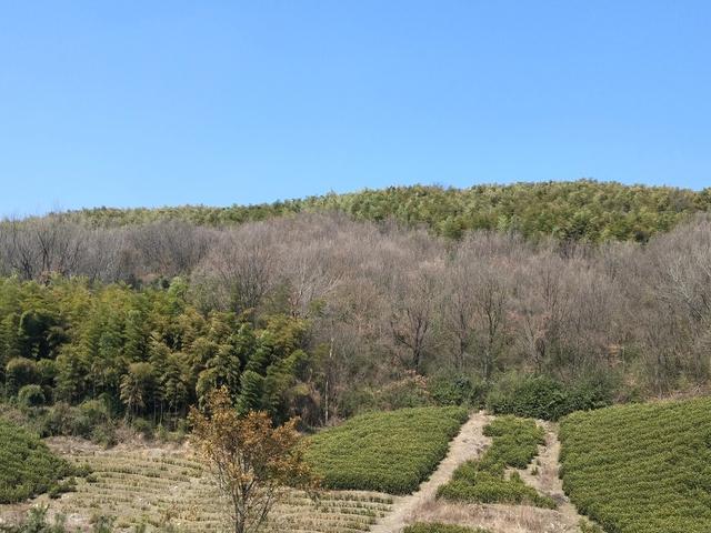 女人自述交换经历的电影,女人自述交换经历的电影有哪些