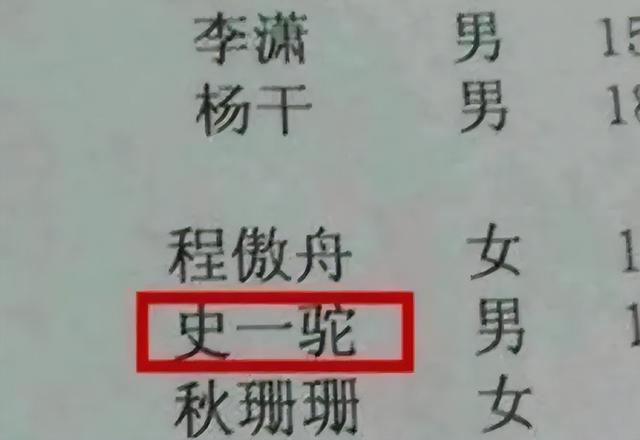 小学生网名越弱智越好，小学生网名越弱智越好_暴龙战士