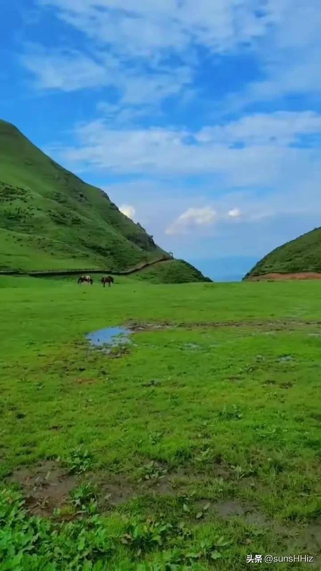 心情抑郁适合去的地方自驾,心情抑郁适合去的地方自驾旅游