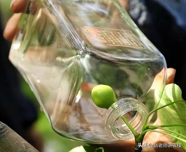 邯郸永不分梨酒业股份有限公司_五粮液,邯郸永不分梨酒业五粮液价格