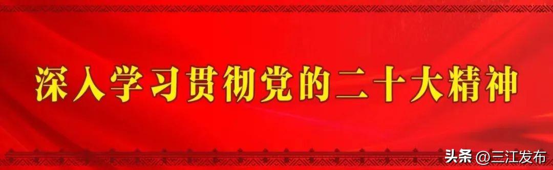 短视频剪辑自学教程,短视频剪辑自学教程视频