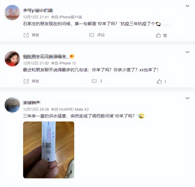 有什么方法可以让羊一动不动,羊动不了怎么办