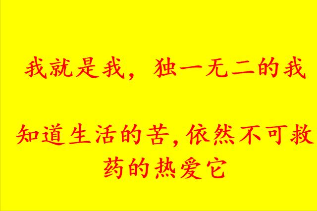 高情商新人自我介绍30个字，高情商新人自我介绍30个字怎么写