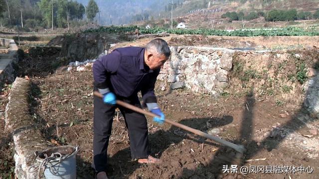 种植黄精亩产利润有多大，黄精种植一亩成本价