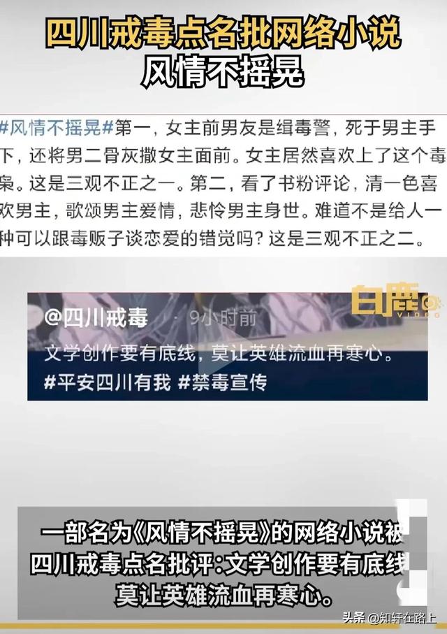 前有缅北小公主，后有东南亚大毒枭，三观不正的“毒”小说，严查