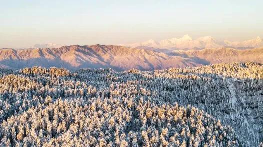 瓦屋山旅游攻略自驾游,瓦屋山旅游攻略自驾游冬季