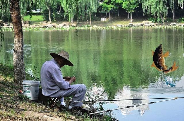 乌木价格多少钱一斤,乌木价格多少钱一斤值钱吗