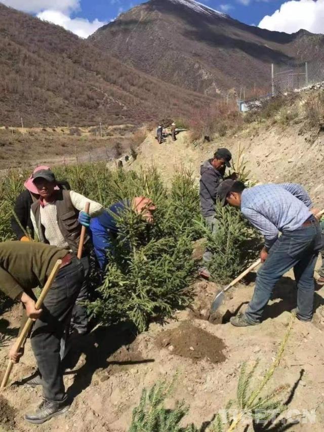 山南市海拔多少米高,山南市海拔多少米高度