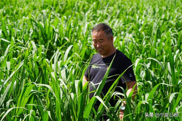 混沌剑帝苏牧小说免费阅读无弹窗,混沌剑帝