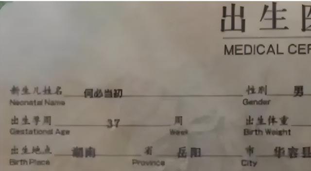 生僻却美到爆的单字,冷门又好看的生僻字