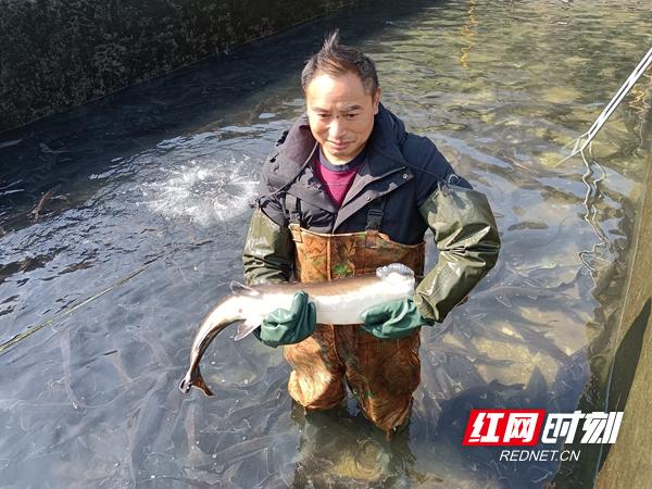 养牛场项目可行性研究报告,肉牛养殖项目可行性报告