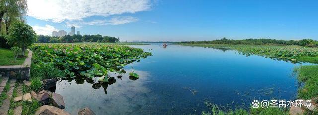 人工浮岛价格厂家,人工浮岛批发价格