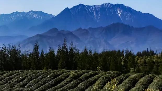 瓦屋山旅游攻略自驾游,瓦屋山旅游攻略自驾游冬季