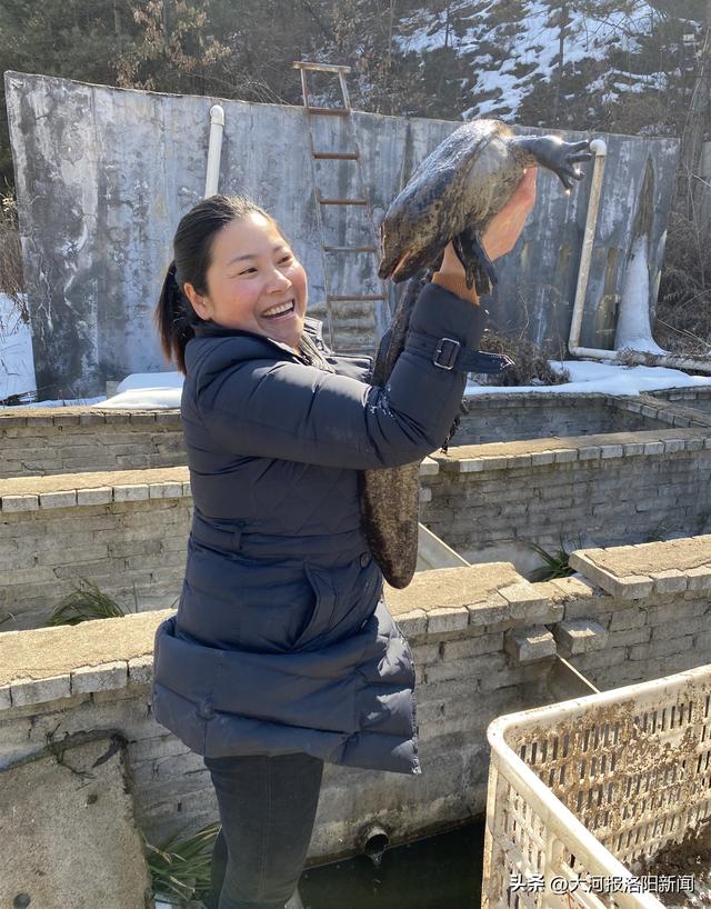 吃奶鱼多少钱一条,吃奶鱼多少钱一条合适