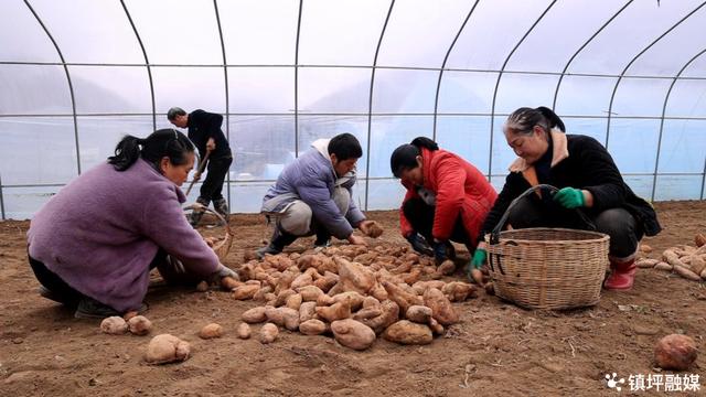 林麝适合在哪个省养殖,养殖5个林麝多少钱投资