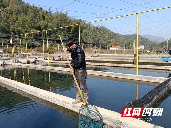 养牛场项目可行性研究报告,肉牛养殖项目可行性报告