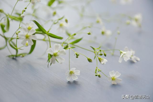 女人越爱做下面几件事，老得越快，请引以为鉴