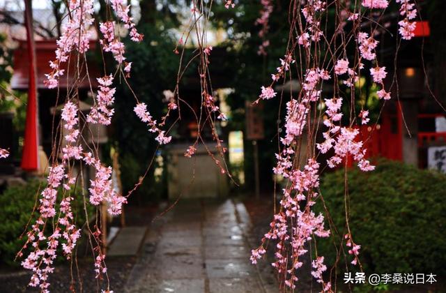 樱花梦儿童护肤品好吗，樱花梦儿童润肤霜怎么样