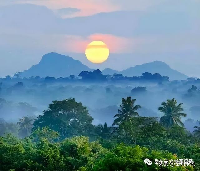 什么朝夕成语填空二年级,什么朝夕什么成语二年级