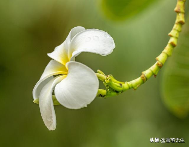 女人越爱做下面几件事，老得越快，请引以为鉴