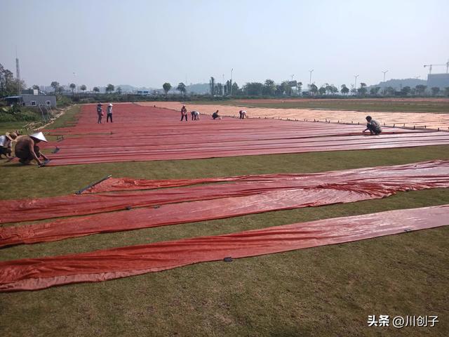 香云纱品牌排行榜，国内最好的香云纱品牌