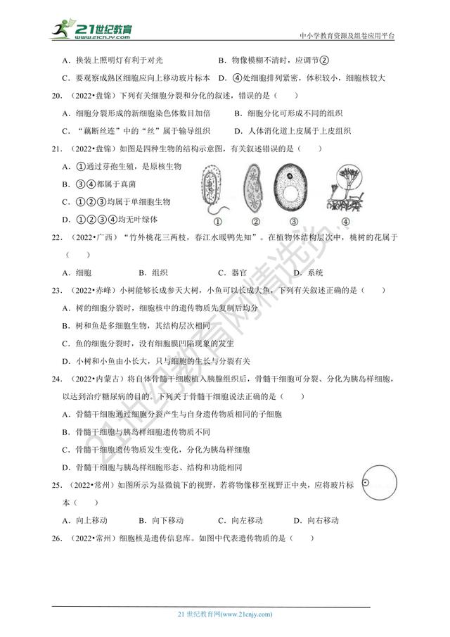 生物的分类思维导图，生物的分类思维导图初中