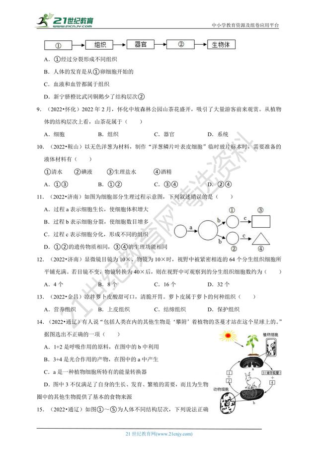 生物的分类思维导图，生物的分类思维导图初中