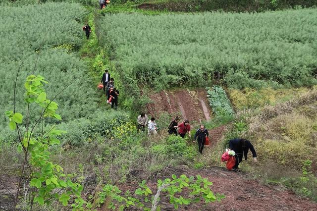 清明上坟几时去？这4个时辰“不一般”，踩准时间点，驱邪旺子孙