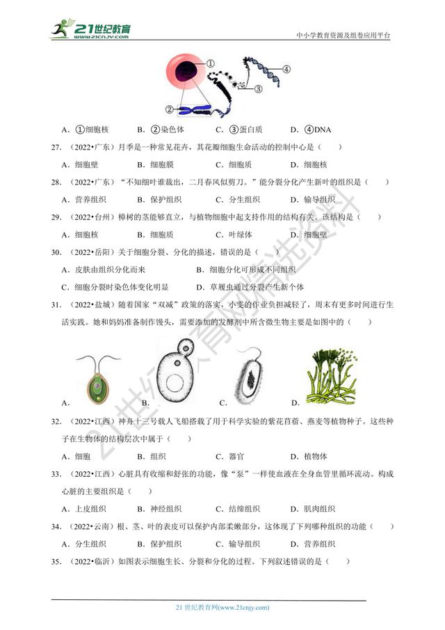 生物的分类思维导图，生物的分类思维导图初中