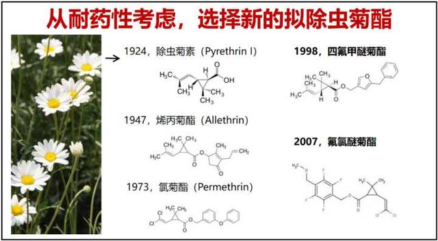 插电驱蚊液对身体有害吗视频，插电驱蚊液对身体有害吗女生